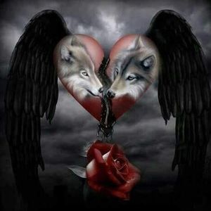 Meet your Posher, Alberta